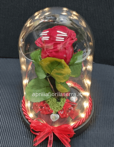 Rosa Stabilizzata con luce H cm 22.