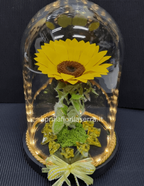 Girasole Stabilizzato
