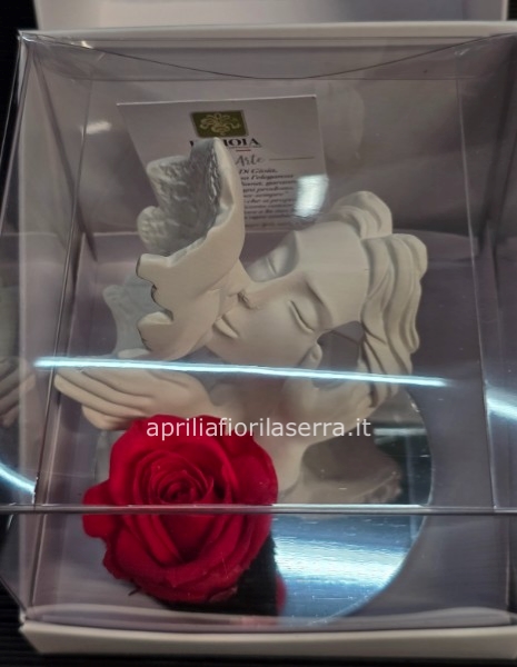 Rosa Stabilizzata Bacio